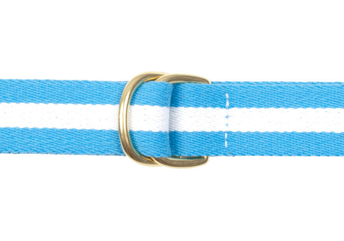Surcingle Belt - Light Blue and White Stripe